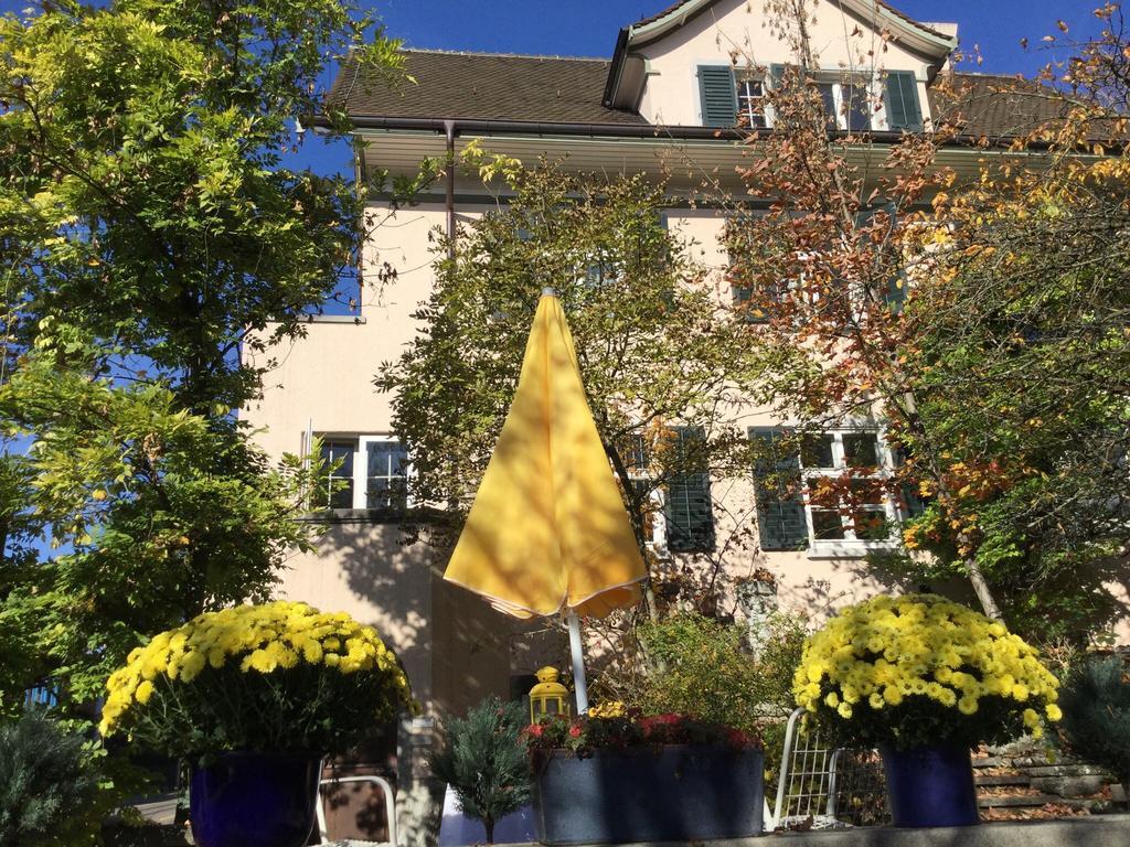 Garden Studio Apartment Zuerichberg ภายนอก รูปภาพ
