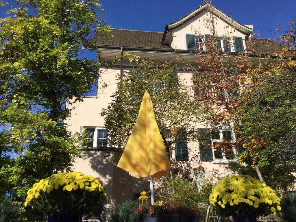 Garden Studio Apartment Zuerichberg ภายนอก รูปภาพ