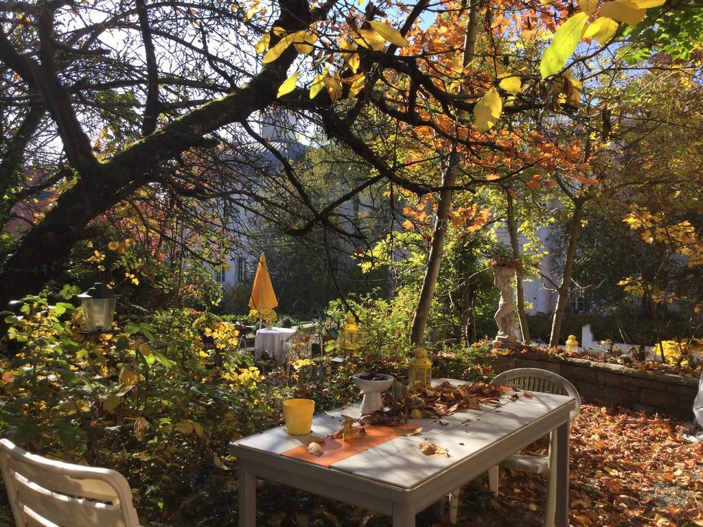 Garden Studio Apartment Zuerichberg ภายนอก รูปภาพ